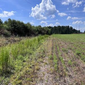 Photo #10 of SOLD property in Off Harding Lane, Chocowinity, NC 25.0 acres