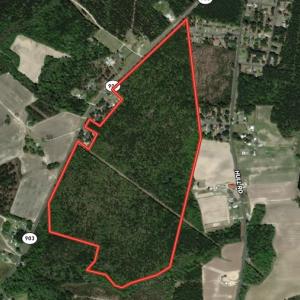 Photo #1 of SOLD property in Off Hwy 903, Snow Hill, NC 115.0 acres