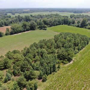 Photo #4 of Off Tobacco Land Road, Dillon, SC 26.9 acres