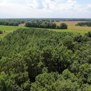 Photo #5 of Off Tobacco Land Road, Dillon, SC 26.9 acres