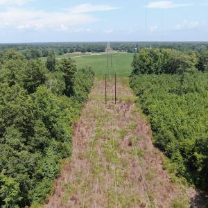 Photo #6 of Off Tobacco Land Road, Dillon, SC 26.9 acres