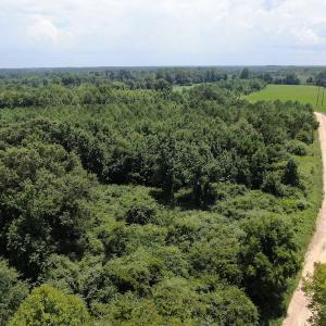 Photo #7 of Off Tobacco Land Road, Dillon, SC 26.9 acres