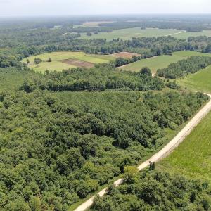 Photo #8 of Off Tobacco Land Road, Dillon, SC 26.9 acres