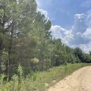 Photo #12 of Off Tobacco Land Road, Dillon, SC 26.9 acres