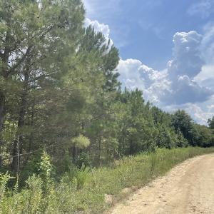 Photo #13 of Off Tobacco Land Road, Dillon, SC 26.9 acres