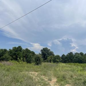 Photo #14 of Off Tobacco Land Road, Dillon, SC 26.9 acres