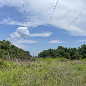 Photo #15 of Off Tobacco Land Road, Dillon, SC 26.9 acres