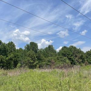 Photo #16 of Off Tobacco Land Road, Dillon, SC 26.9 acres