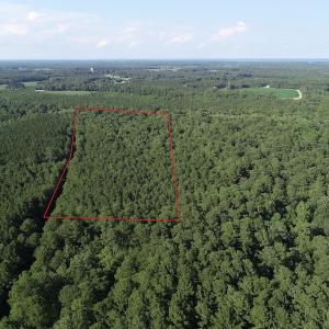 Photo #7 of Off 307 Jamestown Road, Merry Hill, NC 9.5 acres