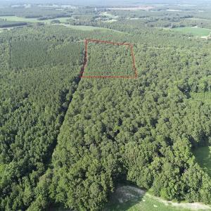 Photo #8 of Off 307 Jamestown Road, Merry Hill, NC 9.5 acres