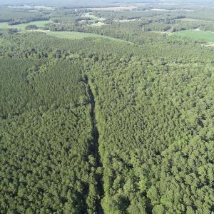 Photo #13 of Off 307 Jamestown Road, Merry Hill, NC 9.5 acres