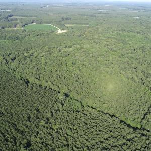 Photo #14 of Off 307 Jamestown Road, Merry Hill, NC 9.5 acres