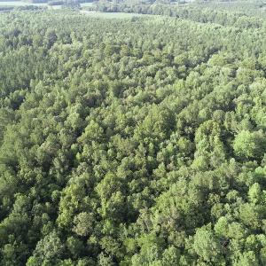 Photo #15 of Off 307 Jamestown Road, Merry Hill, NC 9.5 acres