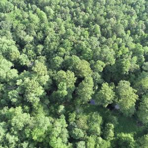 Photo #16 of Off 307 Jamestown Road, Merry Hill, NC 9.5 acres