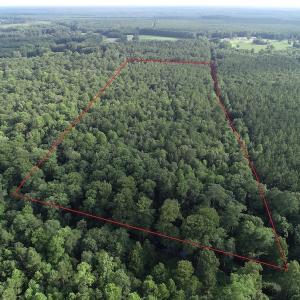 Photo #2 of Off 307 Jamestown Road, Merry Hill, NC 9.5 acres