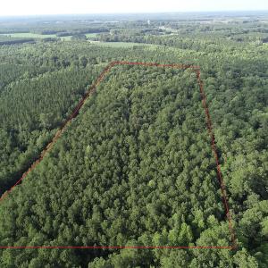 Photo #3 of Off 307 Jamestown Road, Merry Hill, NC 9.5 acres