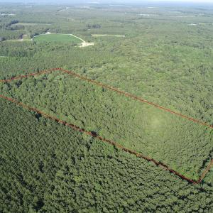 Photo #4 of Off 307 Jamestown Road, Merry Hill, NC 9.5 acres