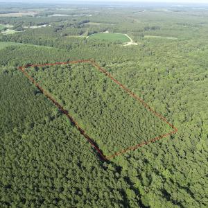 Photo #5 of Off 307 Jamestown Road, Merry Hill, NC 9.5 acres
