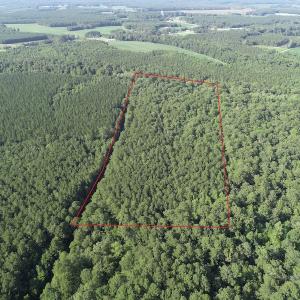 Photo #6 of Off 307 Jamestown Road, Merry Hill, NC 9.5 acres