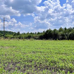 Photo #15 of SOLD property in Off Harding Lane, Chocowinity, NC 25.0 acres