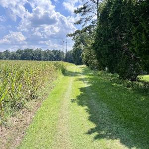 Photo #17 of SOLD property in Off Harding Lane, Chocowinity, NC 25.0 acres