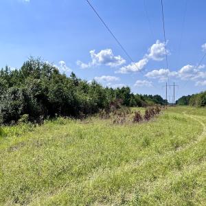 Photo #12 of SOLD property in Off Harding Lane, Chocowinity, NC 25.0 acres
