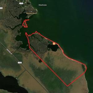 Photo #1 of SOLD property in 100 Davis Beach, Mashoes, NC 541.0 acres