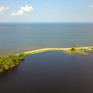 Photo #3 of SOLD property in 100 Davis Beach, Mashoes, NC 541.0 acres