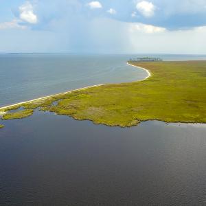 Photo #4 of SOLD property in 100 Davis Beach, Mashoes, NC 541.0 acres