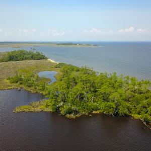 Photo #5 of SOLD property in 100 Davis Beach, Mashoes, NC 541.0 acres
