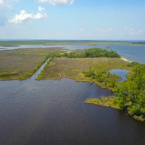 Photo #6 of SOLD property in 100 Davis Beach, Mashoes, NC 541.0 acres