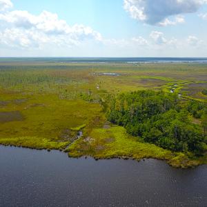 Photo #7 of SOLD property in 100 Davis Beach, Mashoes, NC 541.0 acres