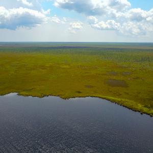 Photo #8 of SOLD property in 100 Davis Beach, Mashoes, NC 541.0 acres
