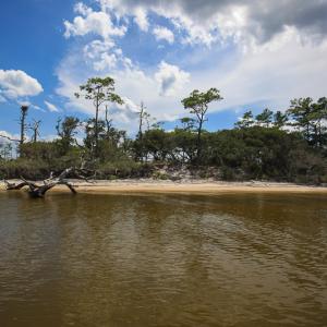 Photo #15 of SOLD property in 100 Davis Beach, Mashoes, NC 541.0 acres
