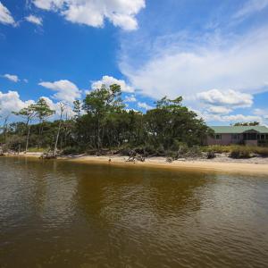 Photo #17 of SOLD property in 100 Davis Beach, Mashoes, NC 541.0 acres