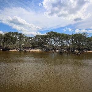 Photo #18 of SOLD property in 100 Davis Beach, Mashoes, NC 541.0 acres