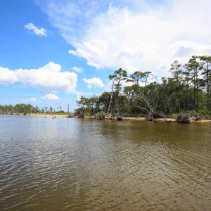 Photo #19 of SOLD property in 100 Davis Beach, Mashoes, NC 541.0 acres