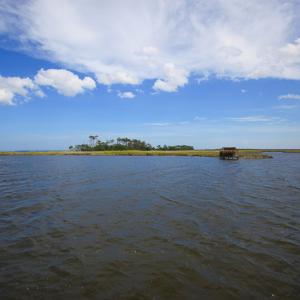 Photo #20 of SOLD property in 100 Davis Beach, Mashoes, NC 541.0 acres