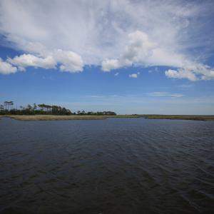 Photo #21 of SOLD property in 100 Davis Beach, Mashoes, NC 541.0 acres