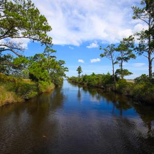 Photo #22 of SOLD property in 100 Davis Beach, Mashoes, NC 541.0 acres