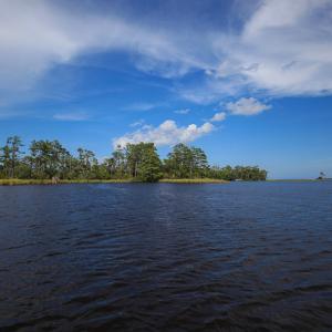 Photo #23 of SOLD property in 100 Davis Beach, Mashoes, NC 541.0 acres