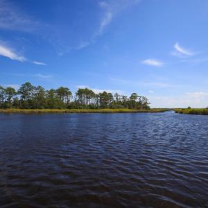Photo #24 of SOLD property in 100 Davis Beach, Mashoes, NC 541.0 acres