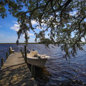Photo #27 of SOLD property in 100 Davis Beach, Mashoes, NC 541.0 acres