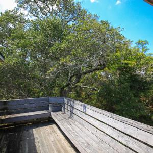 Photo #44 of SOLD property in 100 Davis Beach, Mashoes, NC 541.0 acres