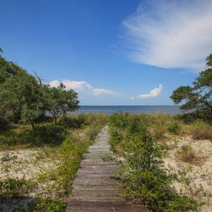 Photo #46 of SOLD property in 100 Davis Beach, Mashoes, NC 541.0 acres