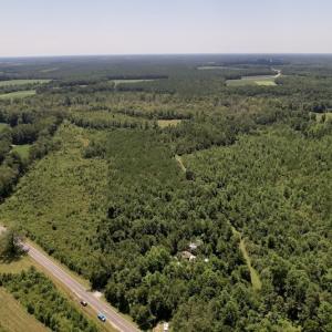 Photo #28 of SOLD property in 650 Sharp Point Road, Macclesfield, NC 9.4 acres