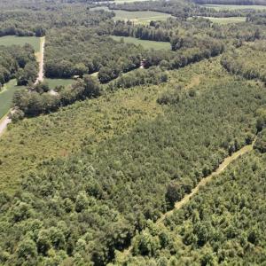 Photo #30 of SOLD property in 650 Sharp Point Road, Macclesfield, NC 9.4 acres