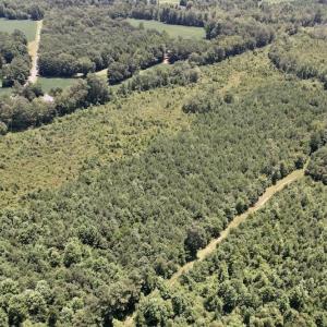 Photo #31 of SOLD property in 650 Sharp Point Road, Macclesfield, NC 9.4 acres