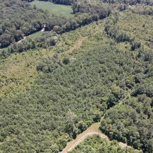 Photo #32 of SOLD property in 650 Sharp Point Road, Macclesfield, NC 9.4 acres