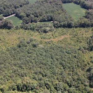 Photo #33 of SOLD property in 650 Sharp Point Road, Macclesfield, NC 9.4 acres